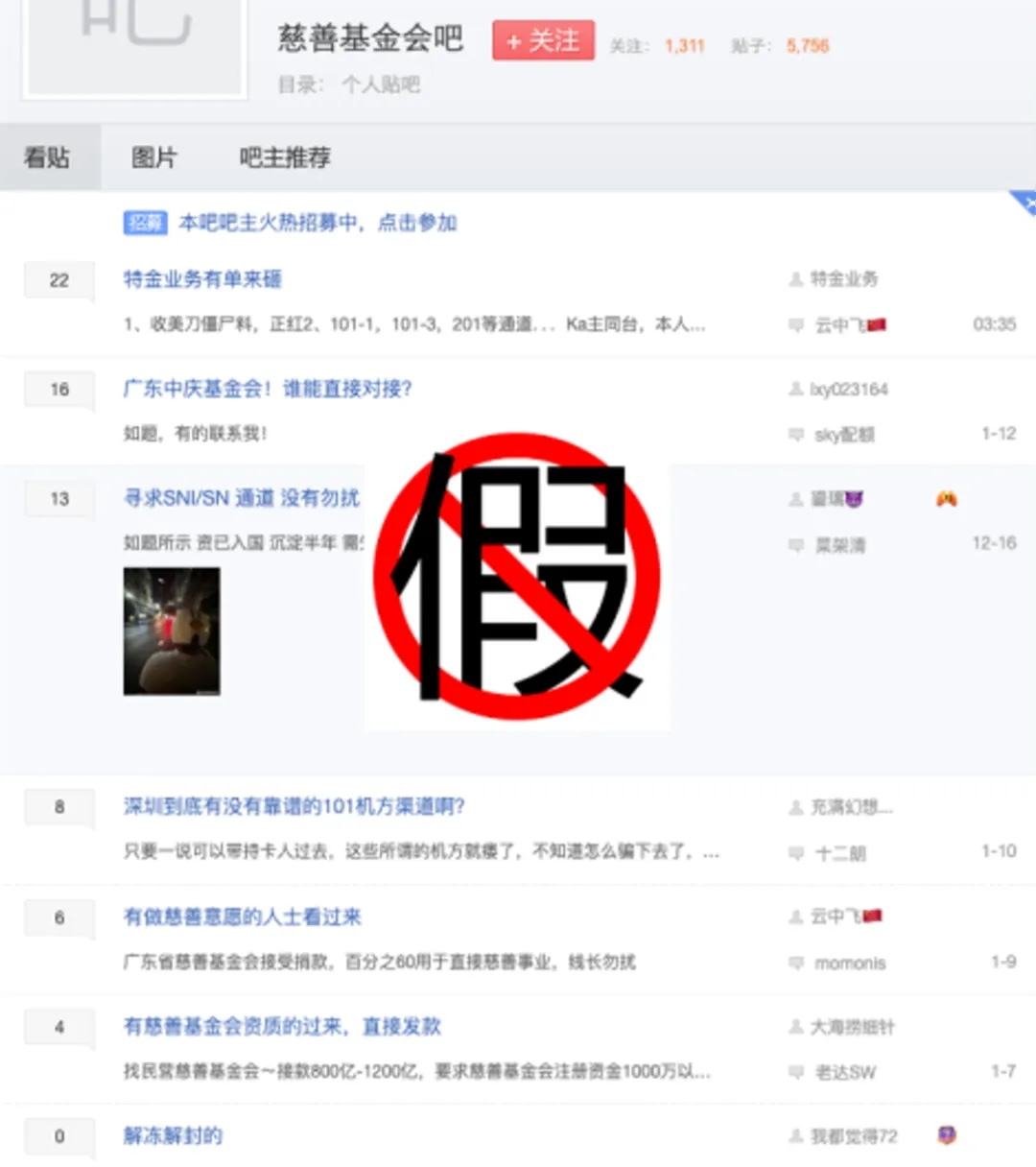 6.webp.jpg